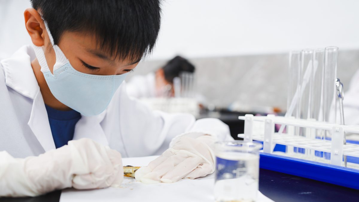 戴口罩、穿白袍與手套的男孩低頭湊近桌面的解剖標本，全神貫注地處理手中的檢體，完全沒有看向鏡頭；右側是試管架與燒杯。