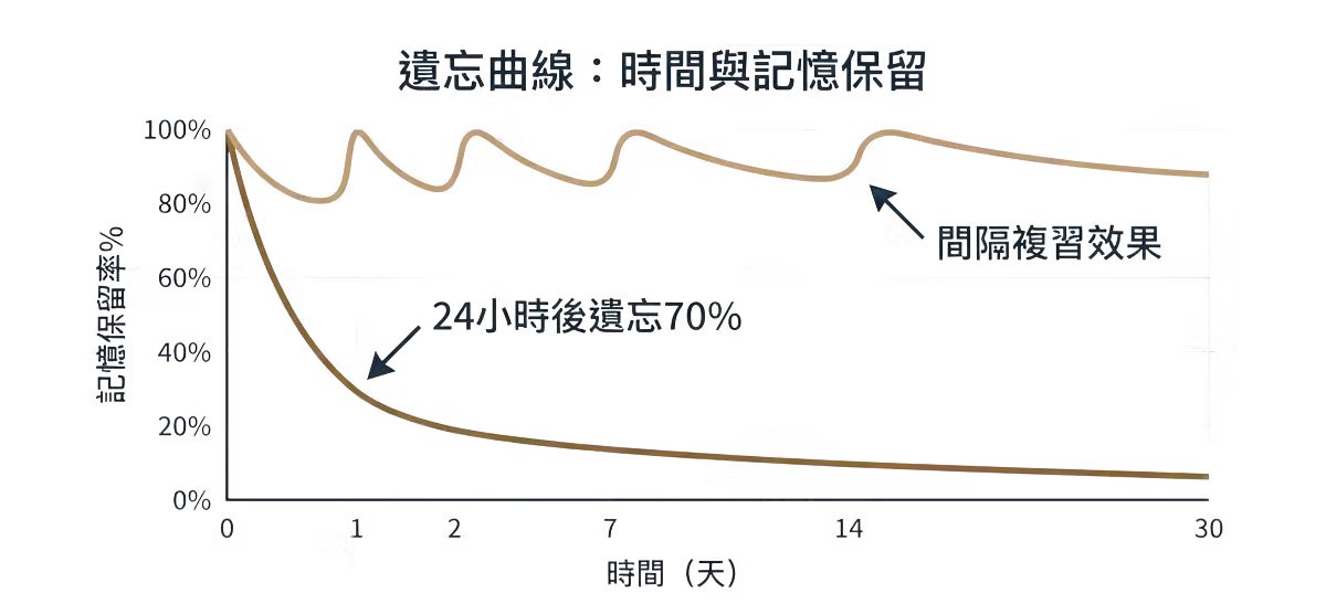 艾賓浩斯遺忘曲線——不複習 24 小時後遺忘七成